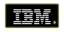 ibm logo